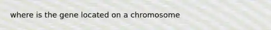 where is the gene located on a chromosome