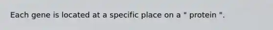 Each gene is located at a specific place on a " protein ".