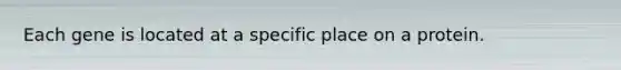 Each gene is located at a specific place on a protein.
