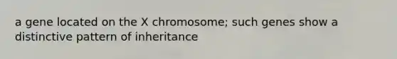 a gene located on the X chromosome; such genes show a distinctive pattern of inheritance