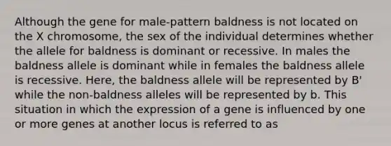 Although the gene for male-pattern baldness is not located on the X chromosome, the sex of the individual determines whether the allele for baldness is dominant or recessive. In males the baldness allele is dominant while in females the baldness allele is recessive. Here, the baldness allele will be represented by B' while the non-baldness alleles will be represented by b. This situation in which the expression of a gene is influenced by one or more genes at another locus is referred to as