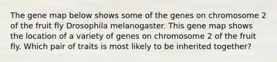 The gene map below shows some of the genes on chromosome 2 of the fruit fly Drosophila melanogaster. This gene map shows the location of a variety of genes on chromosome 2 of the fruit fly. Which pair of traits is most likely to be inherited together?