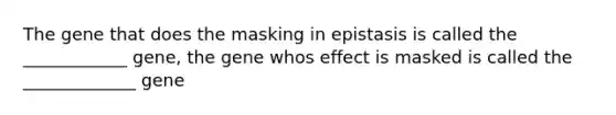 The gene that does the masking in epistasis is called the ____________ gene, the gene whos effect is masked is called the _____________ gene