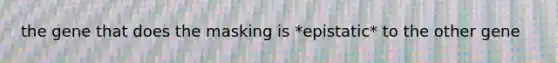 the gene that does the masking is *epistatic* to the other gene