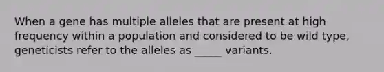 When a gene has multiple alleles that are present at high frequency within a population and considered to be wild type, geneticists refer to the alleles as _____ variants.