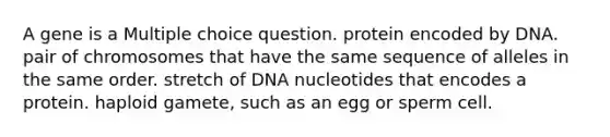 A gene is a Multiple choice question. protein encoded by DNA. pair of chromosomes that have the same sequence of alleles in the same order. stretch of DNA nucleotides that encodes a protein. haploid gamete, such as an egg or sperm cell.