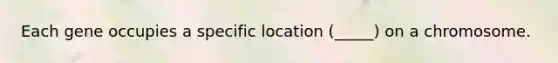 Each gene occupies a specific location (_____) on a chromosome.