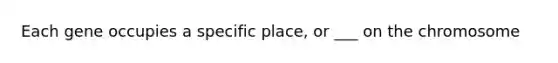 Each gene occupies a specific place, or ___ on the chromosome