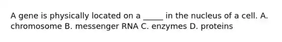 A gene is physically located on a _____ in the nucleus of a cell. A. chromosome B. messenger RNA C. enzymes D. proteins