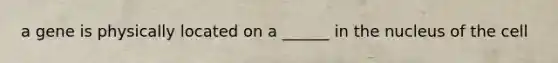 a gene is physically located on a ______ in the nucleus of the cell