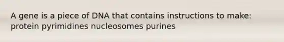 A gene is a piece of DNA that contains instructions to make: protein pyrimidines nucleosomes purines