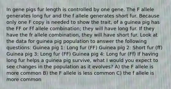 In gene pigs fur length is controlled by one gene. The F allele generates long fur and the f allele generates short fur. Because only one F copy is needed to show the trait, of a guinea pig has the FF or Ff allele combination; they will have long fur. If they have the fr allele combination, they will have short fur. Look at the data for guinea pig population to answer the following questions: Guinea pig 1: Long fur (FF) Guinea pig 2: Short fur (ff) Guinea pig 3: Long fur (FF) Guinea pig 4: Long fur (Ff) If having long fur helps a guinea pig survive, what I would you expect to see changes in the population as it evolves? A) the F allele is more common B) the F allele is less common C) the f allele is more common