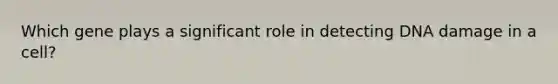 Which gene plays a significant role in detecting DNA damage in a cell?