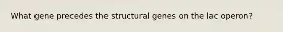 What gene precedes the structural genes on the lac operon?