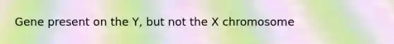 Gene present on the Y, but not the X chromosome