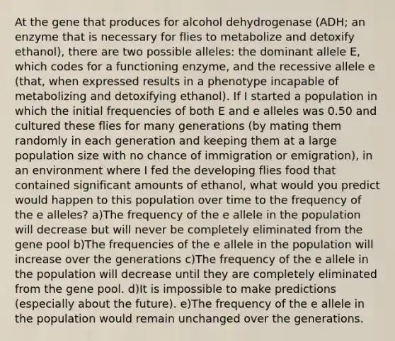 At the gene that produces for alcohol dehydrogenase (ADH; an enzyme that is necessary for flies to metabolize and detoxify ethanol), there are two possible alleles: the dominant allele E, which codes for a functioning enzyme, and the recessive allele e (that, when expressed results in a phenotype incapable of metabolizing and detoxifying ethanol). If I started a population in which the initial frequencies of both E and e alleles was 0.50 and cultured these flies for many generations (by mating them randomly in each generation and keeping them at a large population size with no chance of immigration or emigration), in an environment where I fed the developing flies food that contained significant amounts of ethanol, what would you predict would happen to this population over time to the frequency of the e alleles? a)The frequency of the e allele in the population will decrease but will never be completely eliminated from the gene pool b)The frequencies of the e allele in the population will increase over the generations c)The frequency of the e allele in the population will decrease until they are completely eliminated from the gene pool. d)It is impossible to make predictions (especially about the future). e)The frequency of the e allele in the population would remain unchanged over the generations.