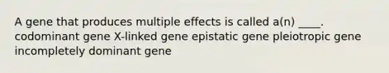 A gene that produces multiple effects is called a(n) ____. codominant gene X-linked gene epistatic gene pleiotropic gene incompletely dominant gene