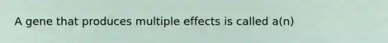 A gene that produces multiple effects is called a(n)