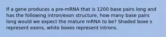 If a gene produces a pre-mRNA that is 1200 base pairs long and has the following intron/exon structure, how many base pairs long would we expect the mature mRNA to be? Shaded boxe s represent exons, white boxes represent introns.