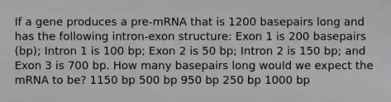 If a gene produces a pre-mRNA that is 1200 basepairs long and has the following intron-exon structure: Exon 1 is 200 basepairs (bp); Intron 1 is 100 bp; Exon 2 is 50 bp; Intron 2 is 150 bp; and Exon 3 is 700 bp. How many basepairs long would we expect the mRNA to be? 1150 bp 500 bp 950 bp 250 bp 1000 bp