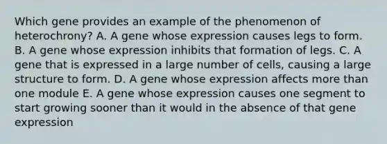 Which gene provides an example of the phenomenon of heterochrony? A. A gene whose expression causes legs to form. B. A gene whose expression inhibits that formation of legs. C. A gene that is expressed in a large number of cells, causing a large structure to form. D. A gene whose expression affects <a href='https://www.questionai.com/knowledge/keWHlEPx42-more-than' class='anchor-knowledge'>more than</a> one module E. A gene whose expression causes one segment to start growing sooner than it would in the absence of that <a href='https://www.questionai.com/knowledge/kFtiqWOIJT-gene-expression' class='anchor-knowledge'>gene expression</a>