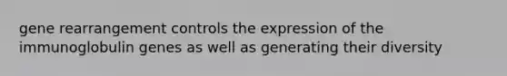 gene rearrangement controls the expression of the immunoglobulin genes as well as generating their diversity