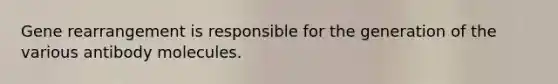 Gene rearrangement is responsible for the generation of the various antibody molecules.