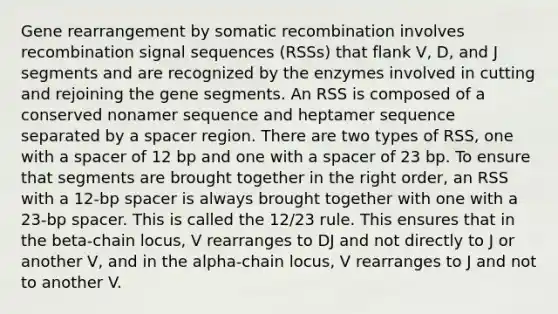 Gene rearrangement by somatic recombination involves recombination signal sequences (RSSs) that flank V, D, and J segments and are recognized by the enzymes involved in cutting and rejoining the gene segments. An RSS is composed of a conserved nonamer sequence and heptamer sequence separated by a spacer region. There are two types of RSS, one with a spacer of 12 bp and one with a spacer of 23 bp. To ensure that segments are brought together in the right order, an RSS with a 12-bp spacer is always brought together with one with a 23-bp spacer. This is called the 12/23 rule. This ensures that in the beta-chain locus, V rearranges to DJ and not directly to J or another V, and in the alpha-chain locus, V rearranges to J and not to another V.