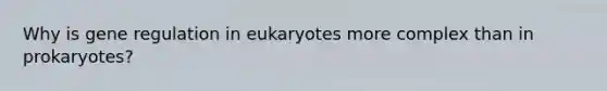 Why is gene regulation in eukaryotes more complex than in prokaryotes?