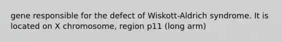 gene responsible for the defect of Wiskott-Aldrich syndrome. It is located on X chromosome, region p11 (long arm)