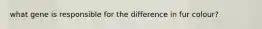 what gene is responsible for the difference in fur colour?