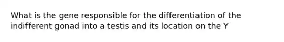 What is the gene responsible for the differentiation of the indifferent gonad into a testis and its location on the Y