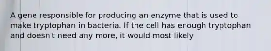 A gene responsible for producing an enzyme that is used to make tryptophan in bacteria. If the cell has enough tryptophan and doesn't need any more, it would most likely