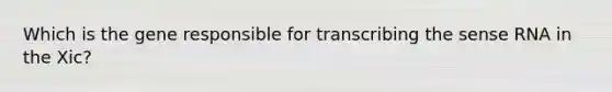 Which is the gene responsible for transcribing the sense RNA in the Xic?