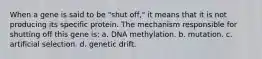 When a gene is said to be "shut off," it means that it is not producing its specific protein. The mechanism responsible for shutting off this gene is: a. DNA methylation. b. mutation. c. artificial selection. d. genetic drift.