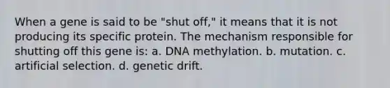 When a gene is said to be "shut off," it means that it is not producing its specific protein. The mechanism responsible for shutting off this gene is: a. DNA methylation. b. mutation. c. artificial selection. d. genetic drift.