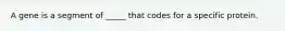 A gene is a segment of _____ that codes for a specific protein.