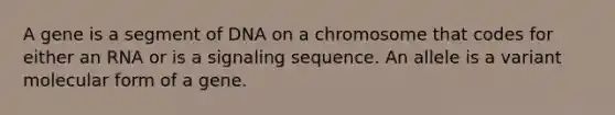 A gene is a segment of DNA on a chromosome that codes for either an RNA or is a signaling sequence. An allele is a variant molecular form of a gene.