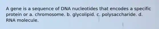 A gene is a sequence of DNA nucleotides that encodes a specific protein or a. chromosome. b. glycolipid. c. polysaccharide. d. RNA molecule.