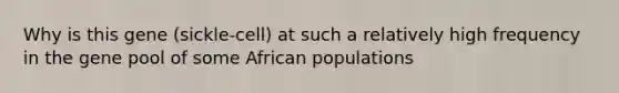 Why is this gene (sickle-cell) at such a relatively high frequency in the gene pool of some African populations