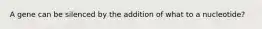 ​A gene can be silenced by the addition of what to a nucleotide?