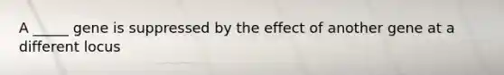 A _____ gene is suppressed by the effect of another gene at a different locus