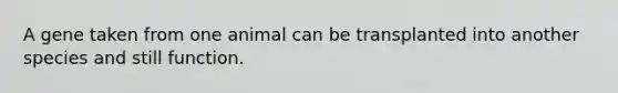 A gene taken from one animal can be transplanted into another species and still function.