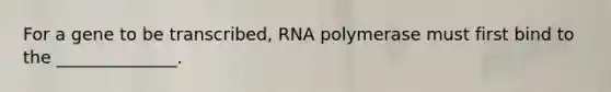 For a gene to be transcribed, RNA polymerase must first bind to the ______________.