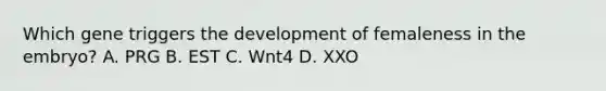 Which gene triggers the development of femaleness in the embryo? A. PRG B. EST C. Wnt4 D. XXO