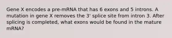 Gene X encodes a pre-mRNA that has 6 exons and 5 introns. A mutation in gene X removes the 3' splice site from intron 3. After splicing is completed, what exons would be found in the mature mRNA?