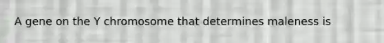 A gene on the Y chromosome that determines maleness is