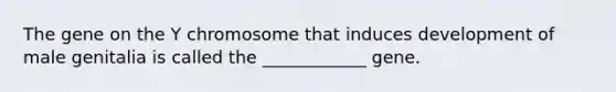 The gene on the Y chromosome that induces development of male genitalia is called the ____________ gene.