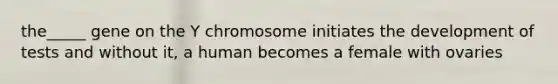 the_____ gene on the Y chromosome initiates the development of tests and without it, a human becomes a female with ovaries