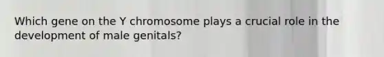 Which gene on the Y chromosome plays a crucial role in the development of male genitals?